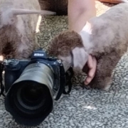 Fotoshooting aus der Deubacher Hölle