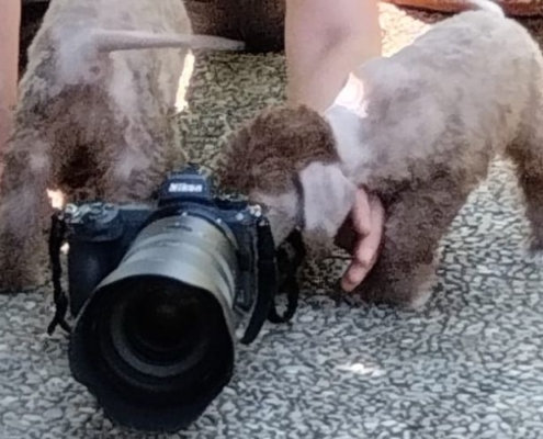 Fotoshooting aus der Deubacher Hölle