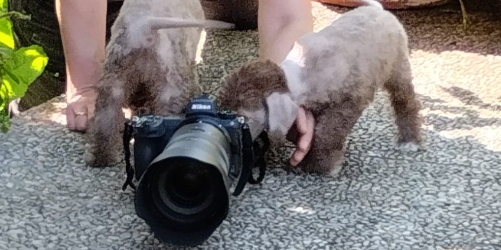 Fotoshooting aus der Deubacher Hölle