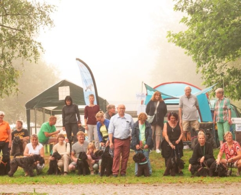 Kerry Blue Terrier Treffen in Bad Orb 2024 25