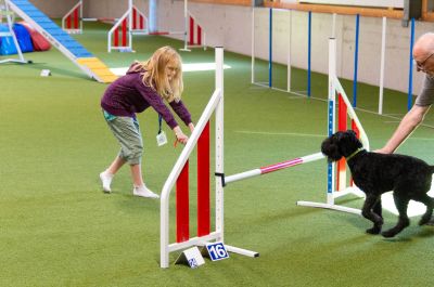 Kerry Blue Terrier Treffen in Bad Orb 2024 18