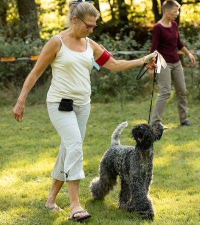 Kerry Blue Terrier Treffen in Bad Orb 2024 14