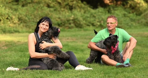 Kerry Blue Terrier Treffen in Bad Orb 2024 13