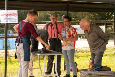 Kerry Blue Terrier Treffen in Bad Orb 2024 12