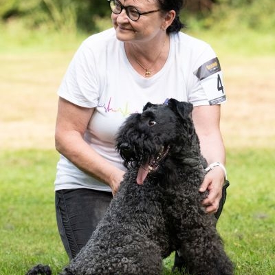 Kerry Blue Terrier Treffen in Bad Orb 2024 10