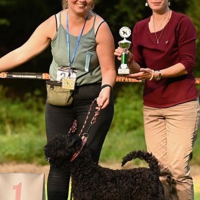 Kerry Blue Terrier Treffen in Bad Orb 2024 09