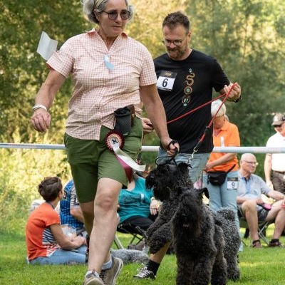 Kerry Blue Terrier Treffen in Bad Orb 2024 07