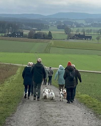 KfT OG Osnabrücker Land Laufen Laufen 2025